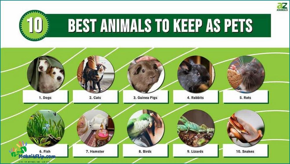 Best Small Pets Top Choices for Your Home
