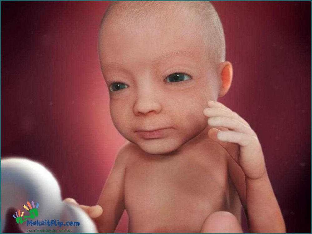 27 Week Fetus Pictures A Visual Guide to Your Baby's Development