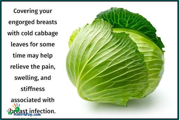 Cabbage Leaves for Mastitis Natural Remedy and Benefits
