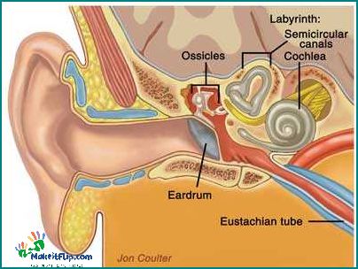 Can an Ear Infection Cause Vomiting Exploring the Connection