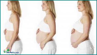 How Long is 40 Weeks Discover the Duration of a Full Term Pregnancy