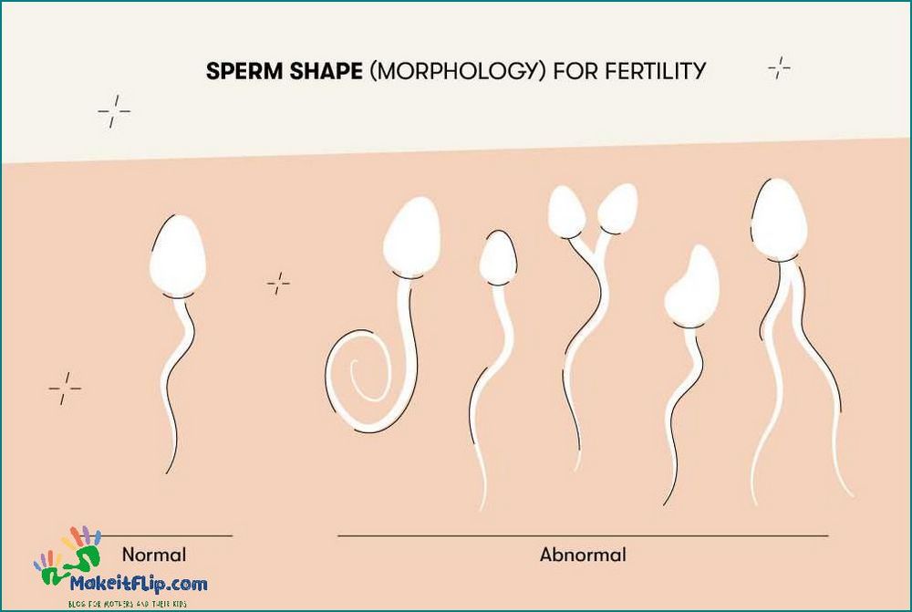How Much Sperm Does It Take to Get Pregnant Exploring Fertility and Conception
