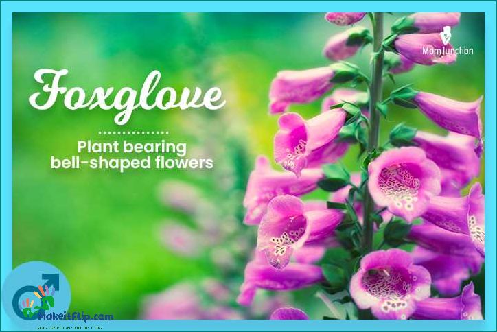 Unique and Meaningful Plant Names for Boys | Plant Names for Baby Boys