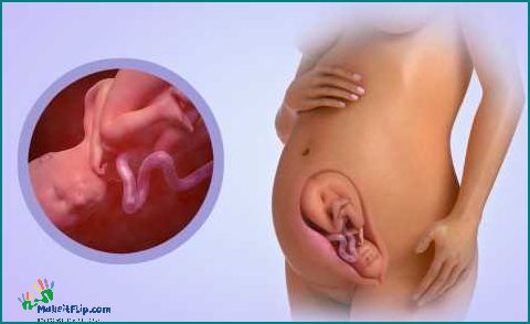29 Weeks Fetus Pictures A Visual Guide to Your Baby's Development