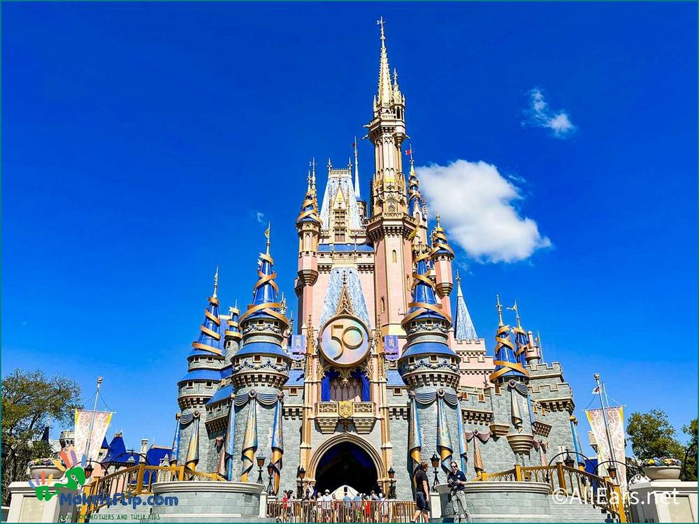 Costco Disney Packages The Best Deals for Your Magical Vacation