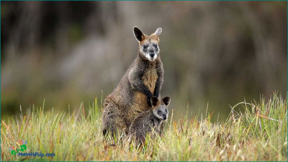 Discover the Fascinating World of Newborn Kangaroos