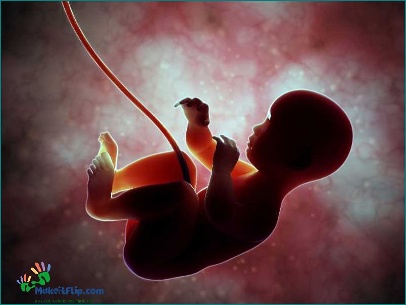 Do Babies Cry in the Womb Unveiling the Mystery