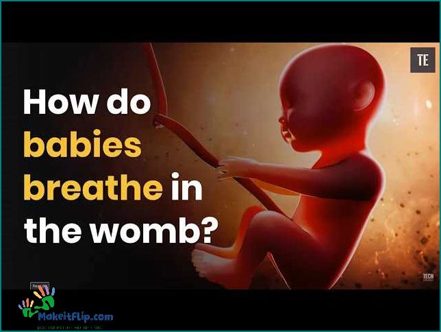 How Do Babies Breathe in the Womb Explained