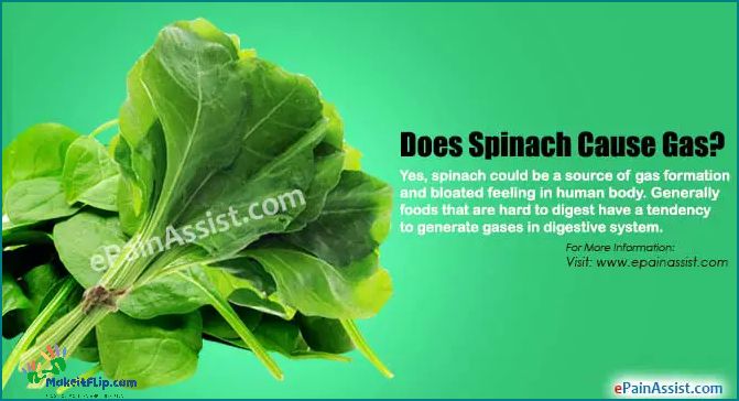 Does Spinach Cause Gas Find Out the Truth Here