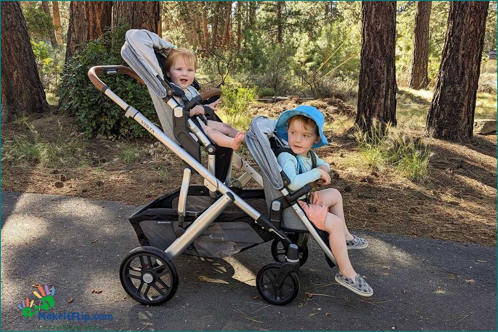 Find the Best Walmart Double Stroller for Your Family | Our Top Picks