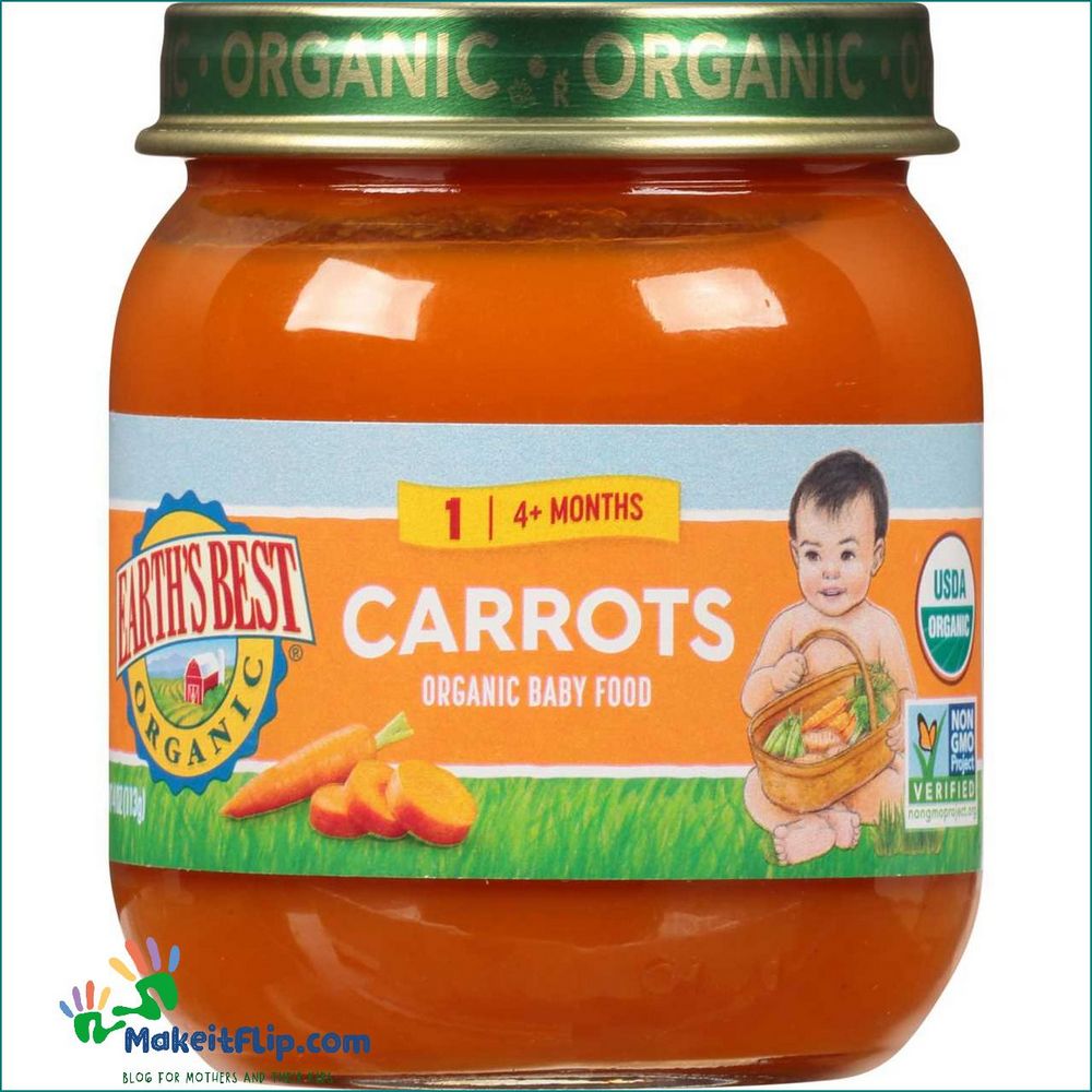 Discover the Best Baby Food for Your Little One with Earth's Best