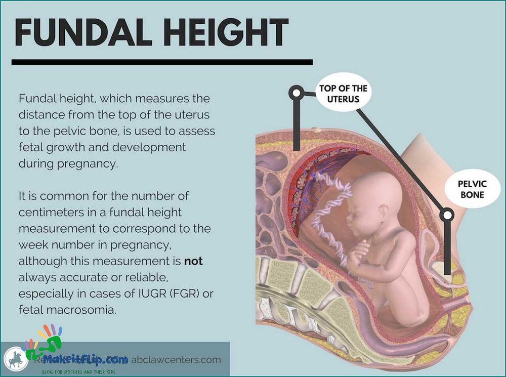 Fundal Height Chart A Guide to Monitoring Fetal Growth