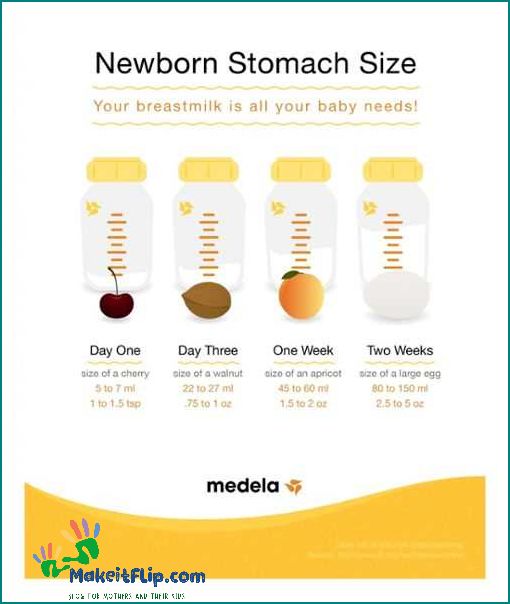 Newborn Stomach Size Understanding Your Baby's Feeding Needs