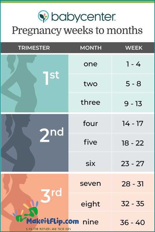 31 Weeks in Months Understanding Pregnancy Milestones