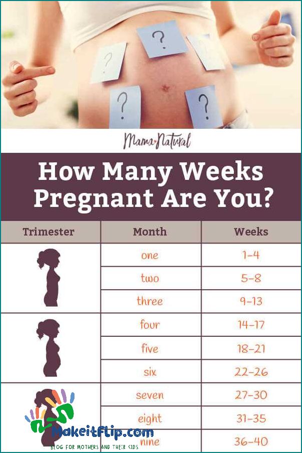 33 Weeks in Months How Many Months is 33 Weeks Pregnant