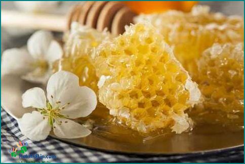 Is it safe to eat honey while breastfeeding Find out here