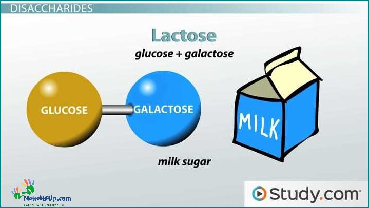Lactose Formula Understanding the Science and Benefits
