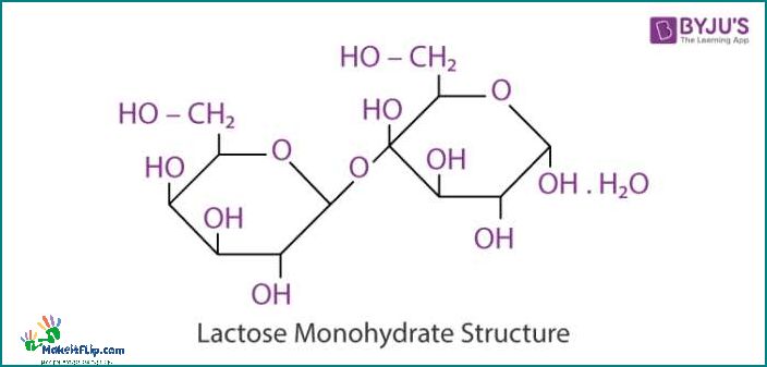 Lactose Formula Understanding the Science and Benefits