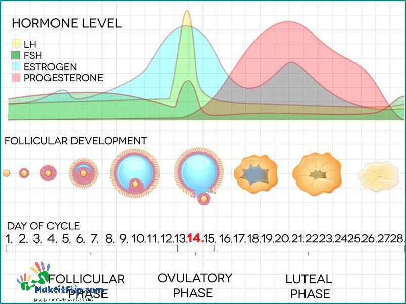 LH Surge Chart Understanding Your Fertility