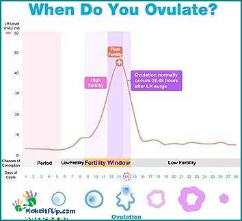 LH Surge Chart Understanding Your Fertility
