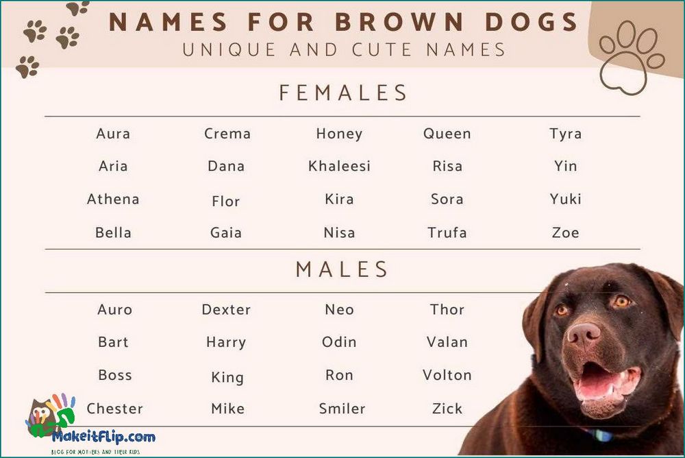 100 Unique and Meaningful Black Female Dog Names | Find the Perfect Name for Your Dark-Coated Pup