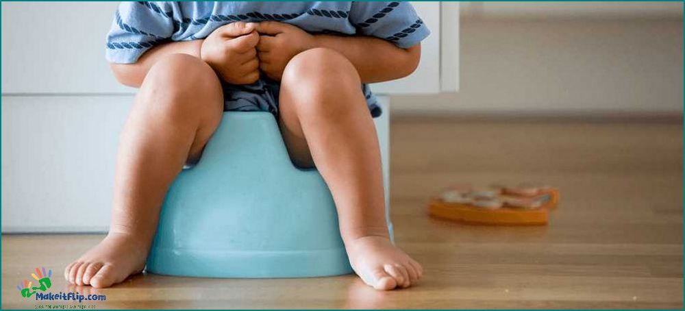 How to Teach Your Child to Poop in the Potty A Step-by-Step Guide