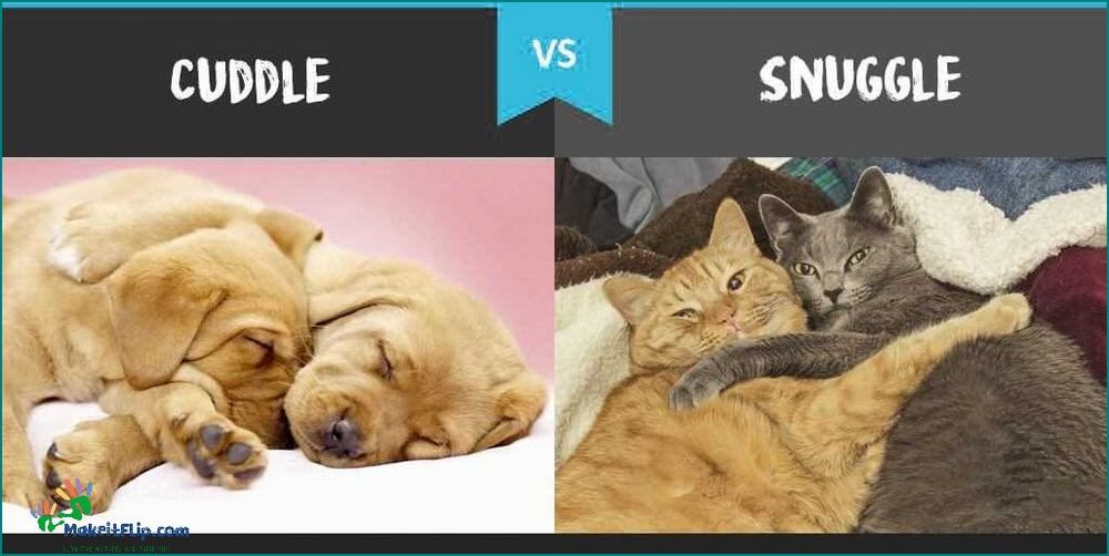 Snuggle vs Cuddle What's the Difference and Which is Better