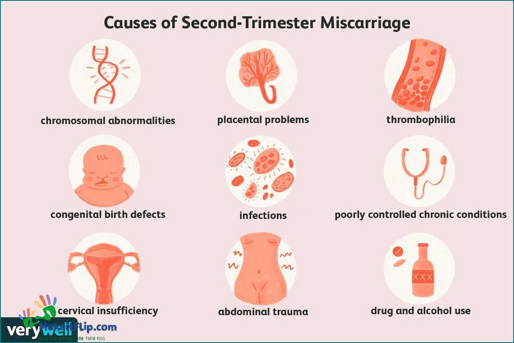 Understanding 16 Week Miscarriage Causes Symptoms and Recovery