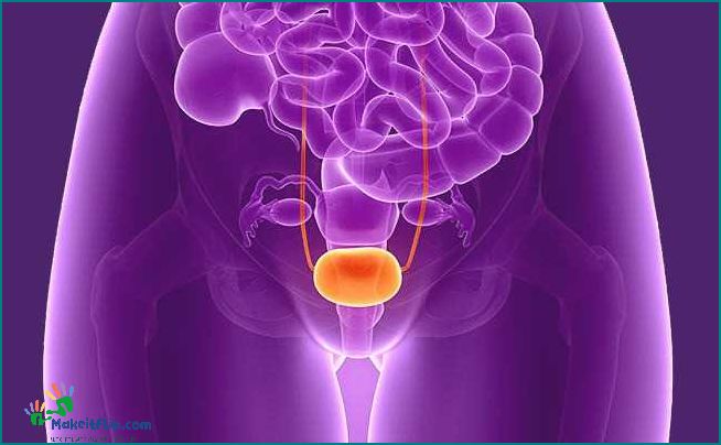 Understanding the Role of Fluids in the Uterus Everything You Need to Know